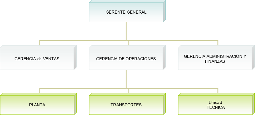 organigrama